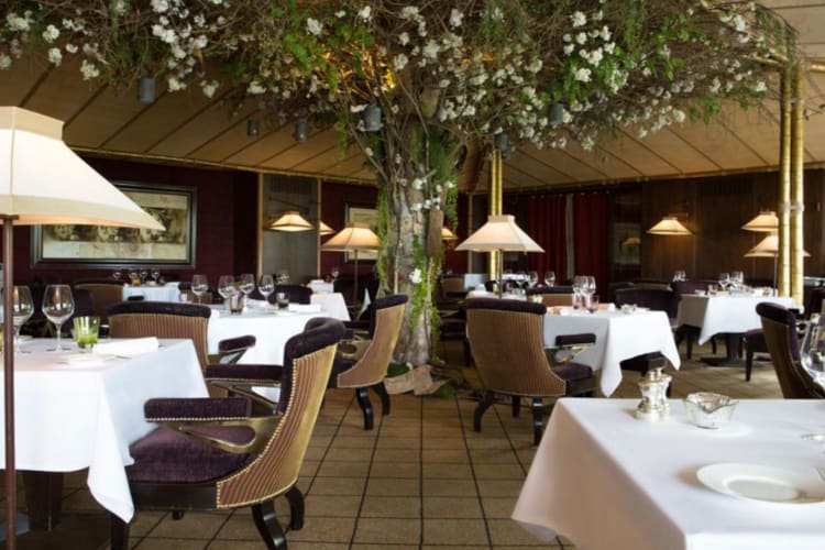 Dining experience